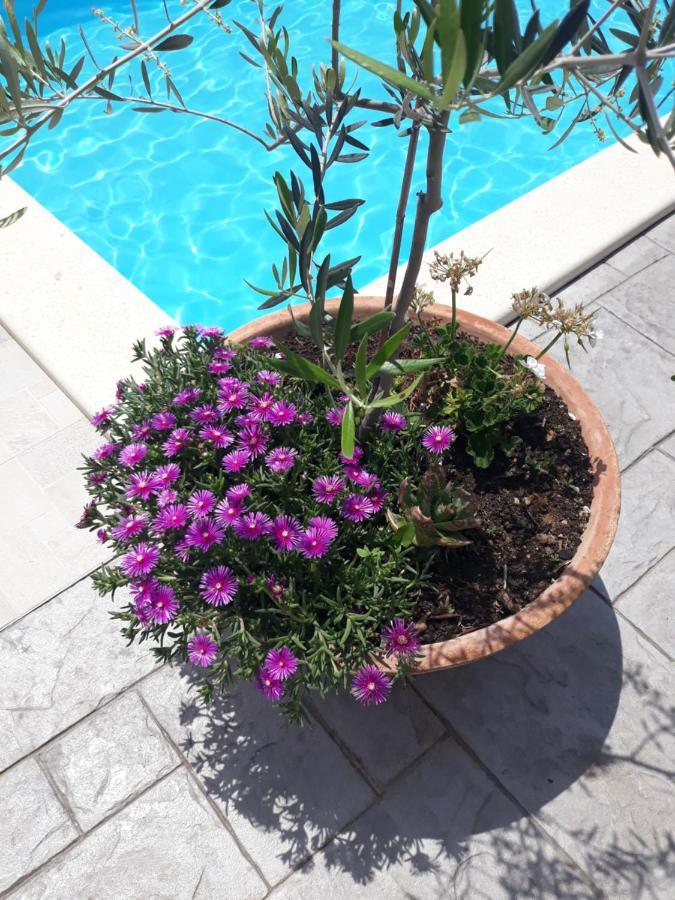Holiday Home Bepo Sevid Exterior foto